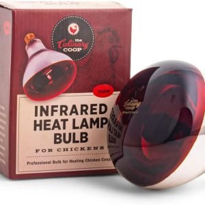 Fluker's Culinary Coop Infrared Heat Lamp for Chicken Coop or Outdoor Animals, 250 Watt