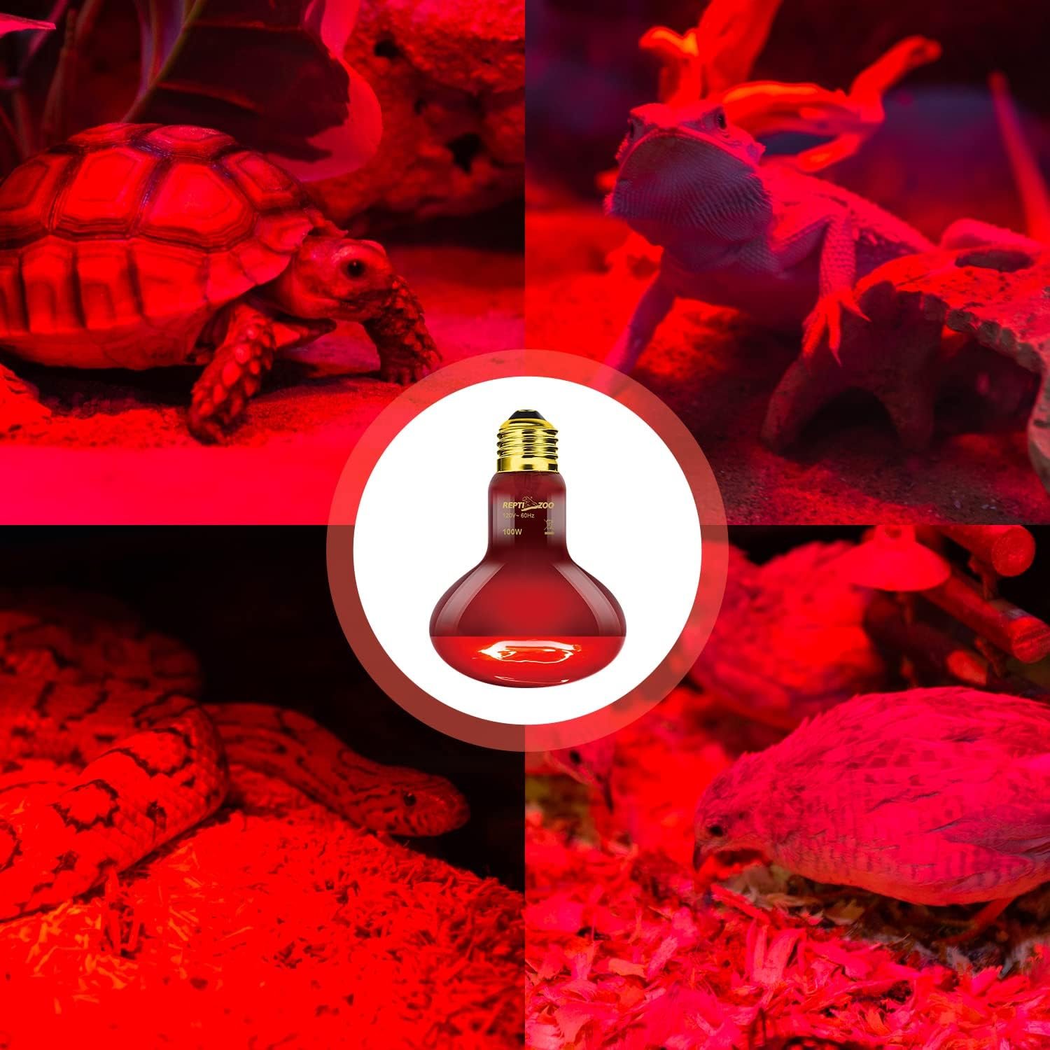 REPTI ZOO 2 Pack Infrared Heat Lamp, 100W Reptile Heat Emitter Infrared Basking Spot Light, Red Heat Lamp for Chickens Coop Reptile Pets Brooder Use - Image 6