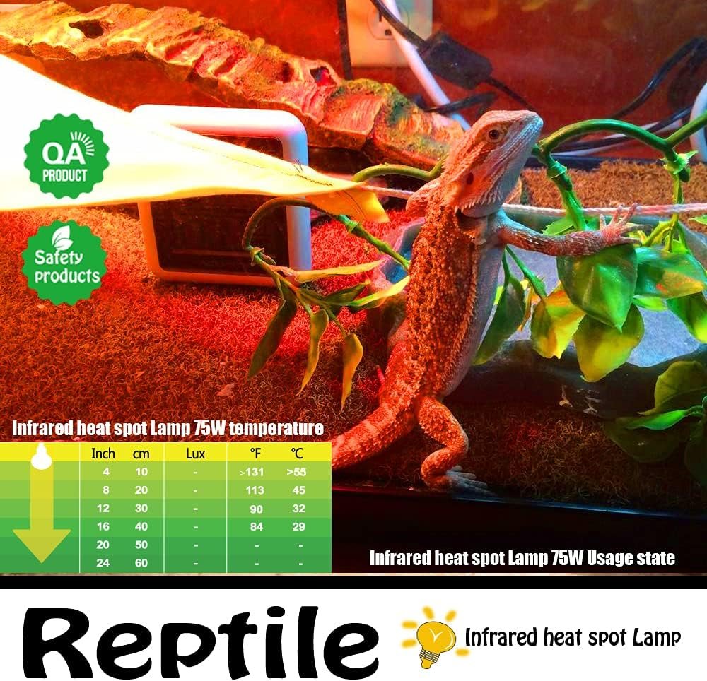 Infrared Heat Lamp Bulbs 75W 2 Pack,Red Basking Spot Light Bulb Reptile Heating lamp for Bearded Dragon,Turtle,Snake,Leopard Gecko,Chicked with Digital Temperature Thermometer - Image 5