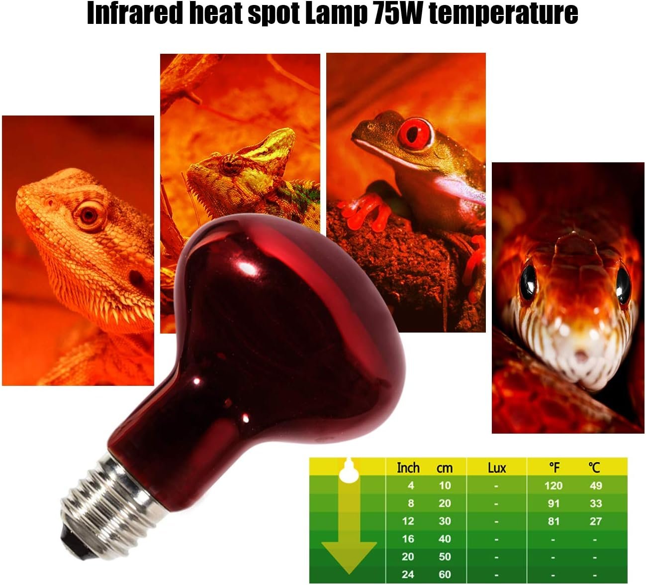 Infrared Heat Lamp Bulbs 75W 2 Pack,Red Basking Spot Light Bulb Reptile Heating lamp for Bearded Dragon,Turtle,Snake,Leopard Gecko,Chicked with Digital Temperature Thermometer - Image 3