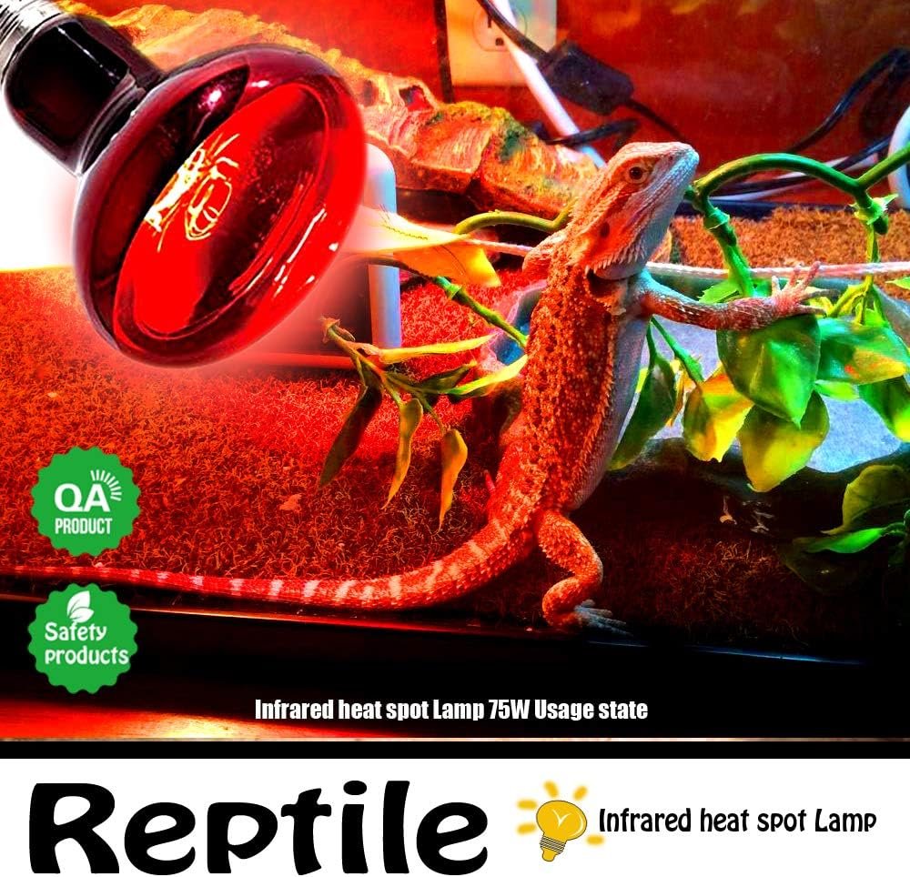 Infrared Heat Lamp Bulbs 75W 2 Pack,Red Basking Spot Light Bulb Reptile Heating lamp for Bearded Dragon,Turtle,Snake,Leopard Gecko,Chicked with Digital Temperature Thermometer - Image 4