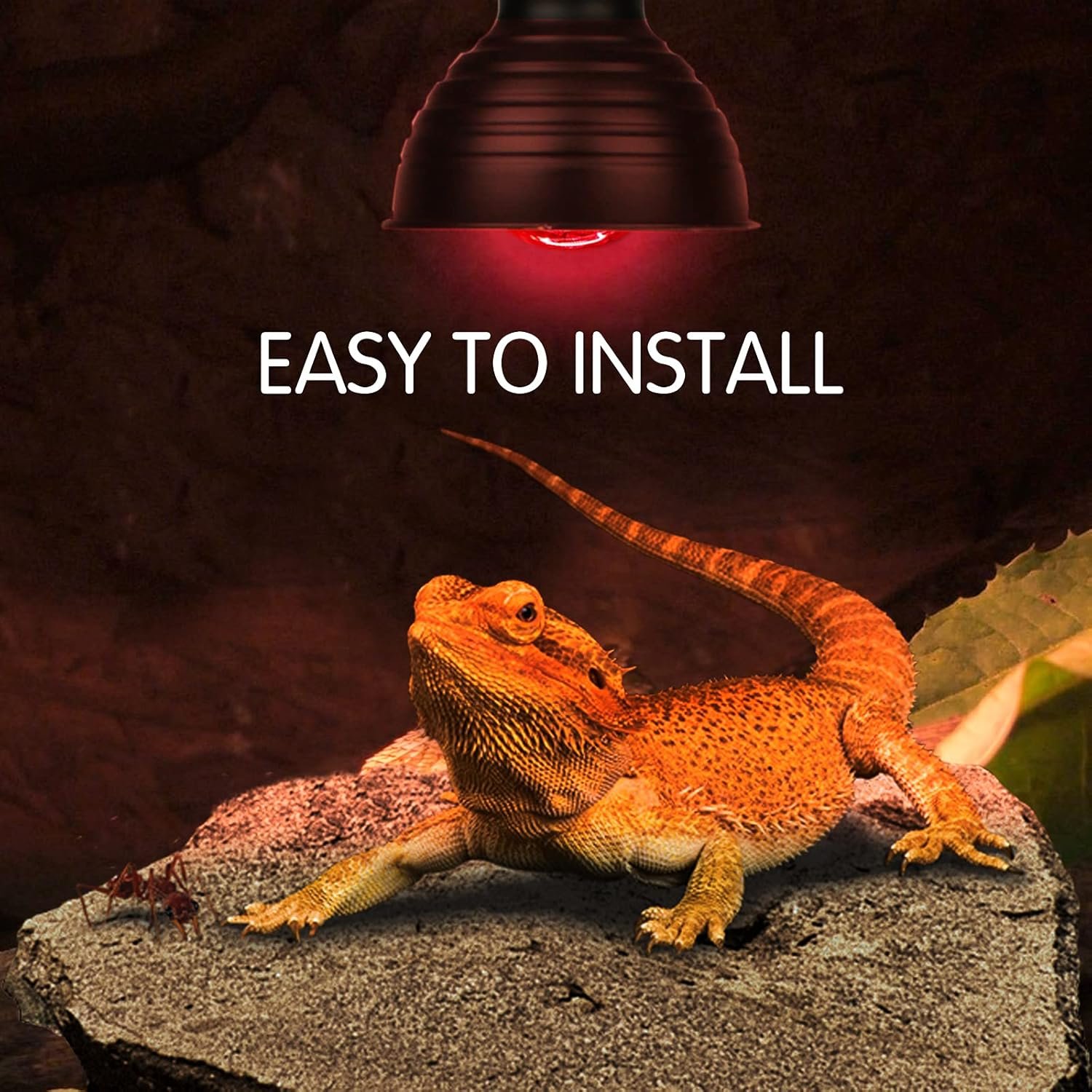 Infrared Heat Lamp Bulbs 100W 2 Pack,Red Basking Spot Light Bulb Reptile Heating lamp for Bearded Dragon,Turtle,Snake,Leopard Gecko,Chicked with Digital Temperature Thermometer - Image 3