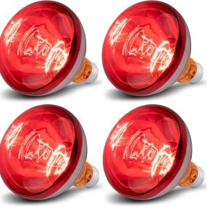 4 Pack 250 Watts Heat Lamp Bulbs, R40 Brooder Heat Lamp for Chickens, Infrared Reflector Heat Bulbs for Brooder Heater, Incandescent Heating bulb for Pet, Light Therapy, Bathroom, Food